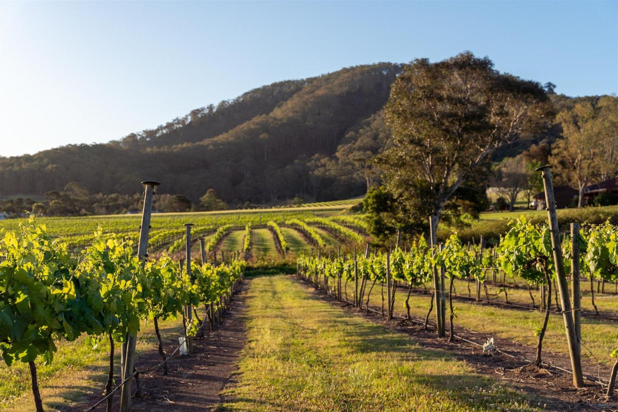 Estate Shoalhaven Heads
