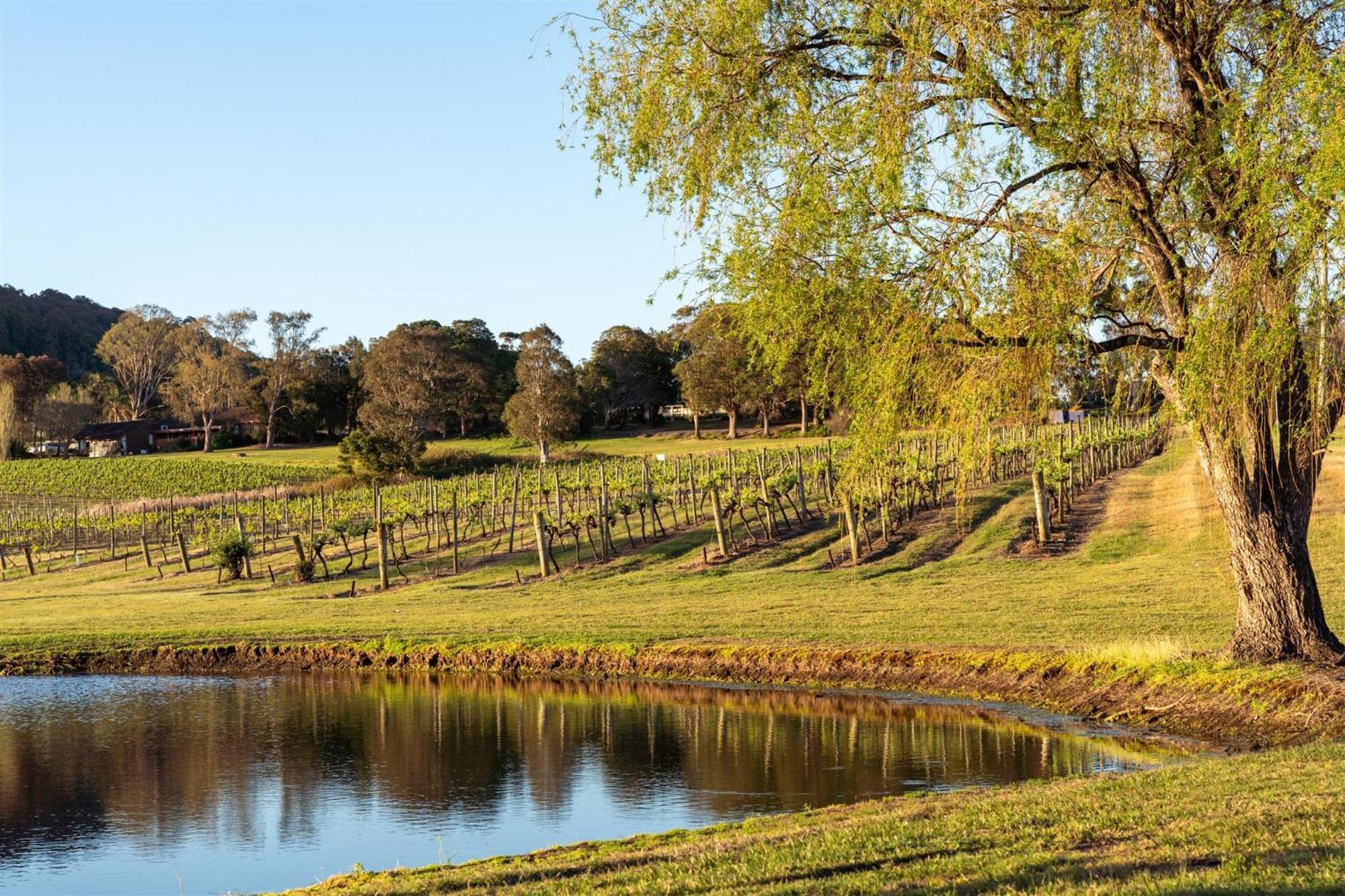 Estate Shoalhaven Heads Motel 4*