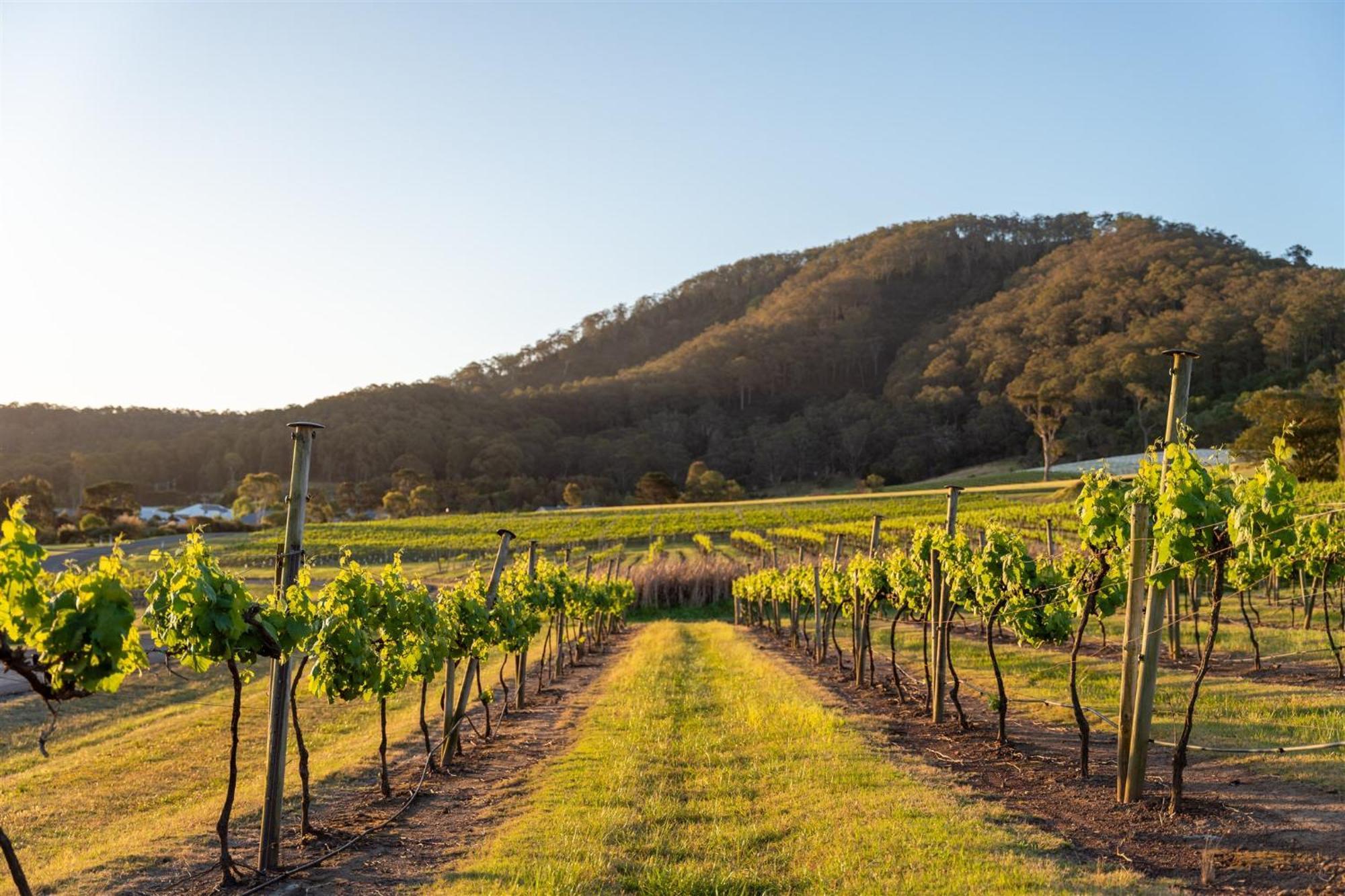 Estate Shoalhaven Heads 4*