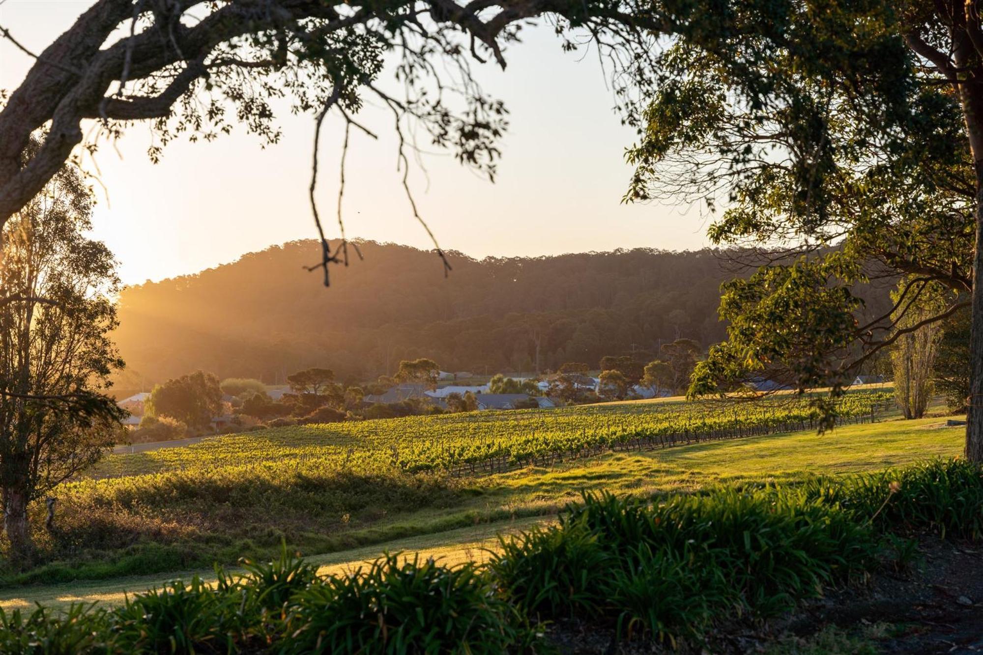 Estate Shoalhaven Heads