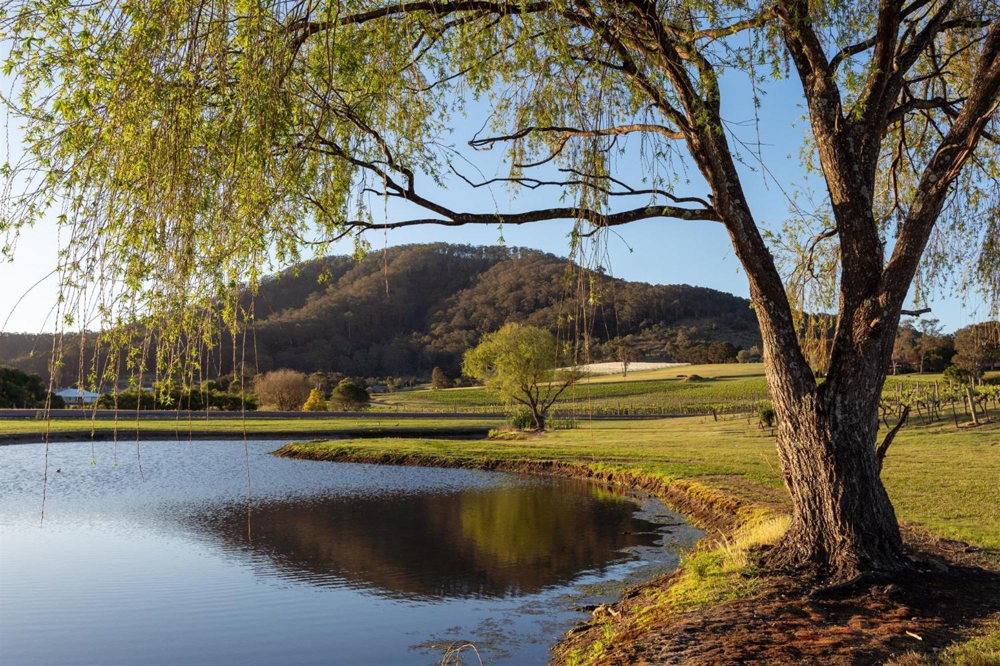 Estate Shoalhaven Heads Motel 4*